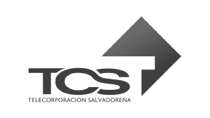 Tcs